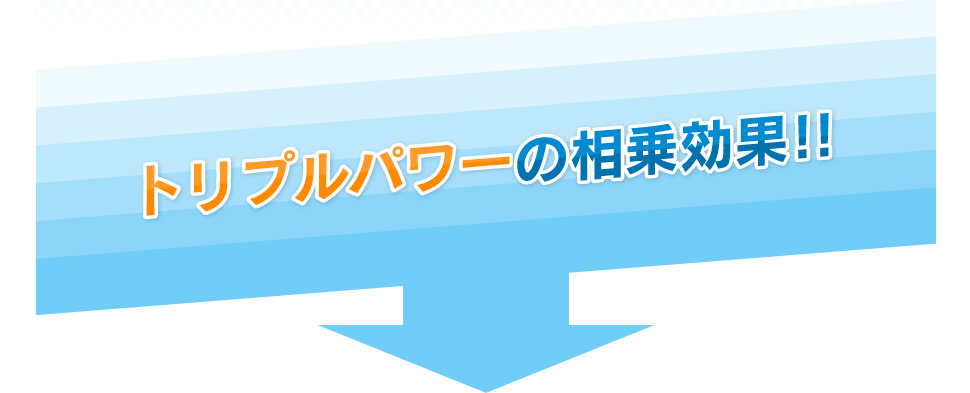 洗たく槽クリーナー 500ｇ 商品詳細 シャボン玉石けん ショッピングサイト シャボン玉石けん ショッピングサイト