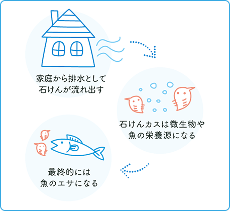 家庭から排水として石けんが流れ出す→石けんカスは微生物や魚の栄養源になる→最終的には魚のエサになる