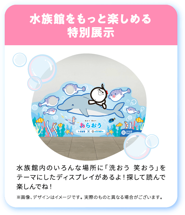 水族館を
もっと楽しめる
特別展示