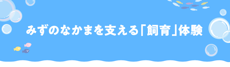 みずのなかまを支える「飼育」体験