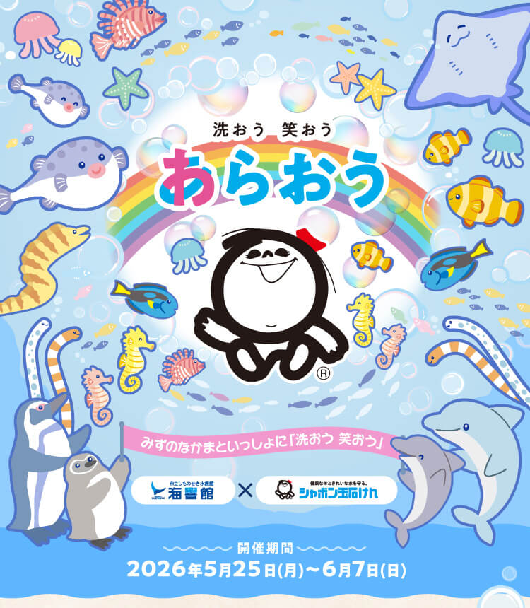 あらおう　わらおう　みずのなかまといっしょに「洗おう 笑おう」
      海響館×シャボン玉石けん
      開催期間 2026年5月25日(月)〜6月7日(日)