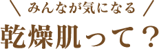 みんなが気になる 乾燥肌って？