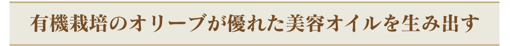 有機栽培のオリーブが優れた美容オイルを生み出す