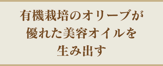 有機栽培のオリーブが優れた美容オイルを生み出す