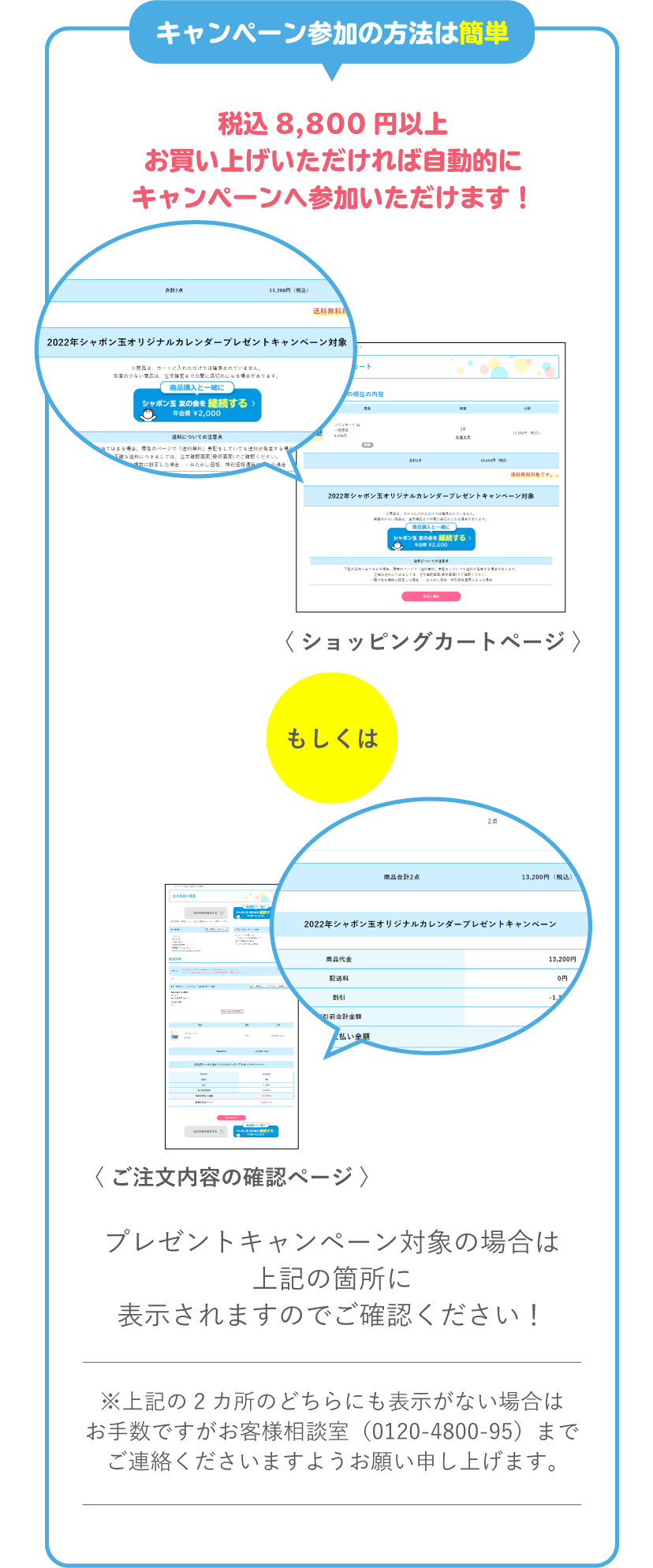キャンペーン参加の方法は簡単 税込8,800円以上お買い上げいただければ自動的にキャンペーンへ参加いただけます！ プレゼントキャンペーン対象の場合は上記の箇所に表示されますのでご確認ください！ ※上記の2カ所のどちらにも表示がない場合はお手数ですがお客様相談室（0120-4800-95）までご連絡くださいますようお願い申し上げます。