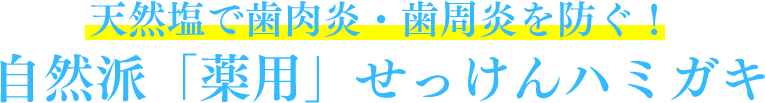 天然塩で歯肉炎・歯周炎を防ぐ！自然派「薬用」せっけんハミガキ