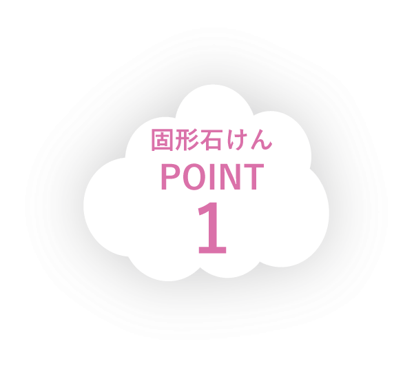 固形石けん POINT 1