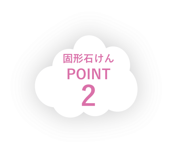 固形石けん POINT 2