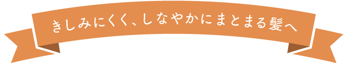 NEW 無添加せっけんシャンプー泡タイプ