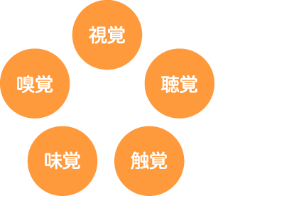視覚、嗅覚、味覚、聴覚、触覚