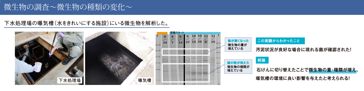 微生物の調査