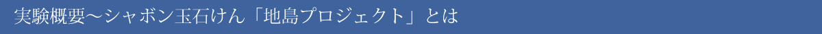 「地島プロジェクト」とは