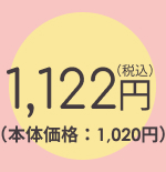 1,026円(税込)