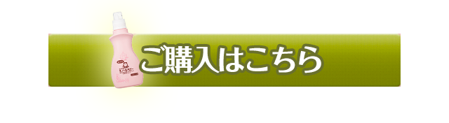 購入はこちら