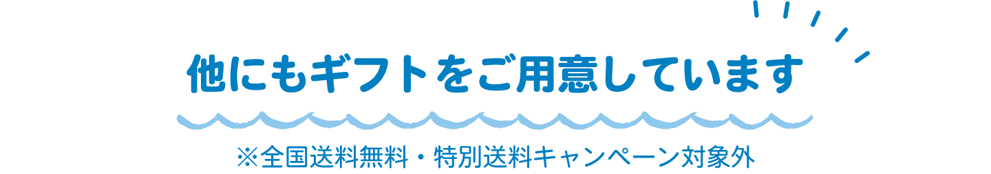 他にもギフトをご用意しています ※全国送料無料・特別送料キャンペーン対象外